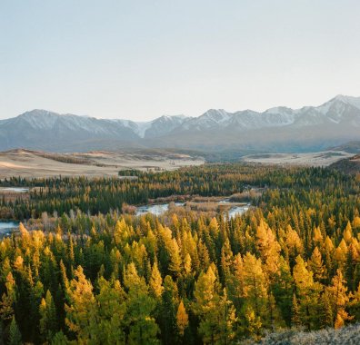 services-img Services Img